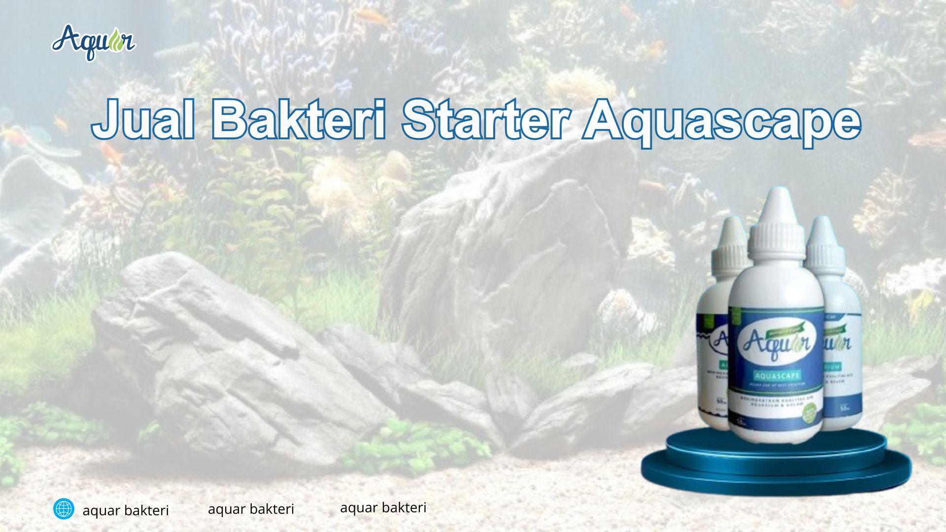 Jual Bakteri Starter Aquascape