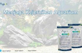 Menjaga Kejernihan Aquarium