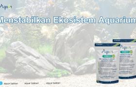 Menstabilkan Ekosistem Aquarium