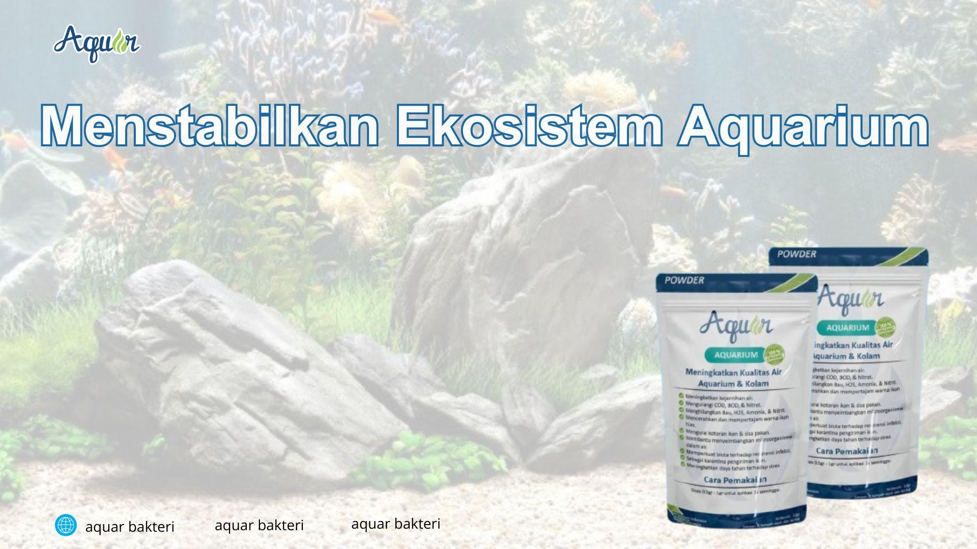 Menstabilkan Ekosistem Aquarium