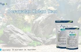 Perawatan Kolam Ikan