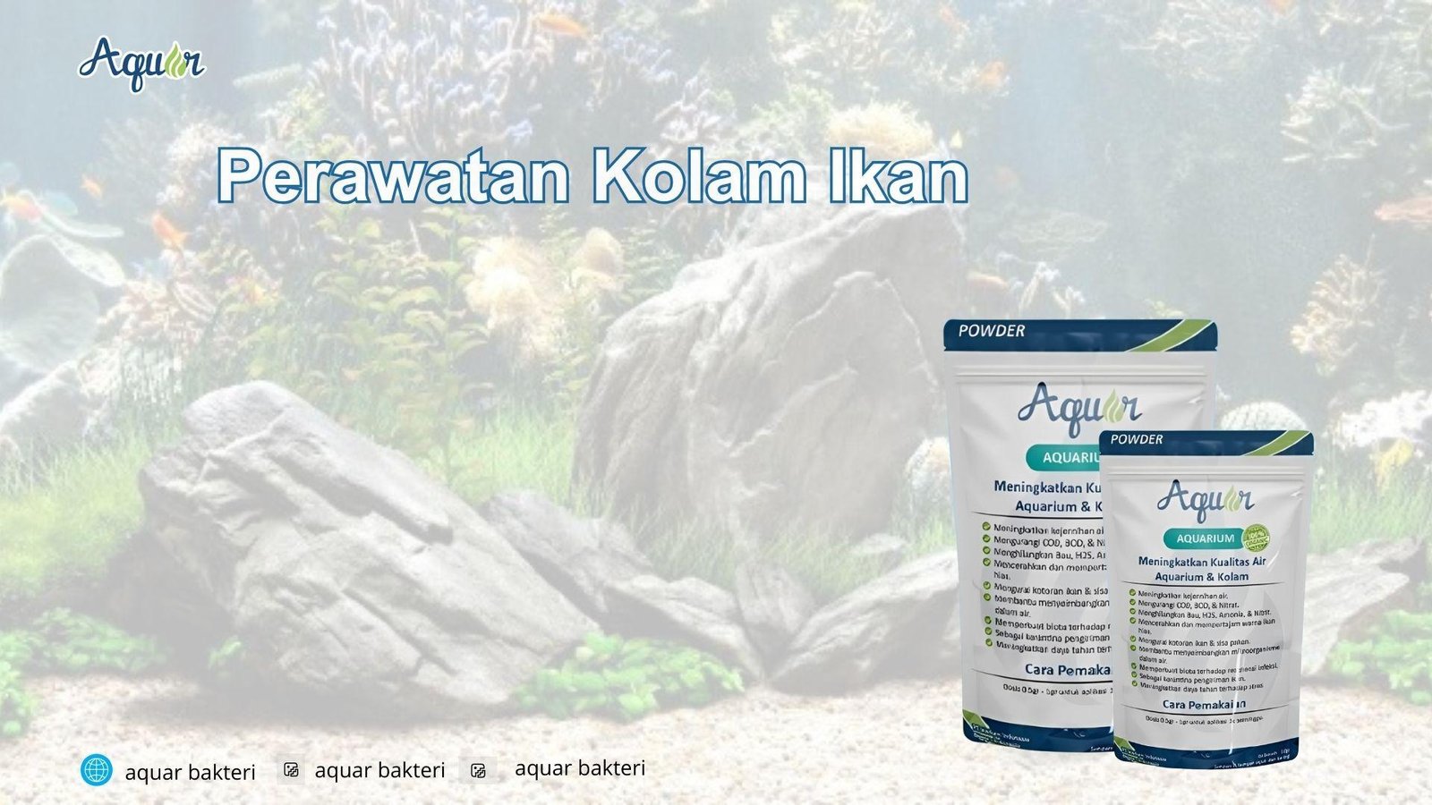 Perawatan Kolam Ikan