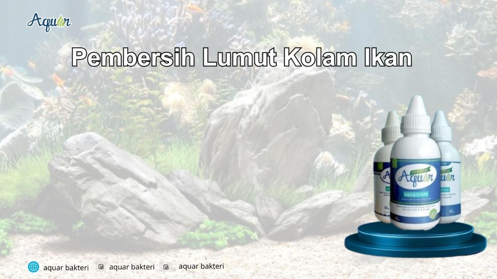 Pembersih Lumut Kolam Ikan