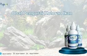 Obat Pengurai Kotoran Ikan