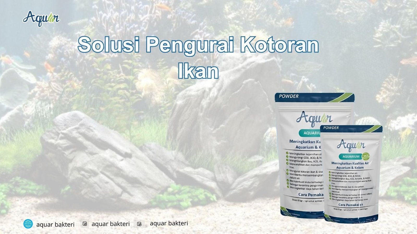 Solusi Pengurai Kotoran Ikan