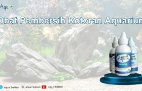 Obat Pembersih Kotoran Aquarium