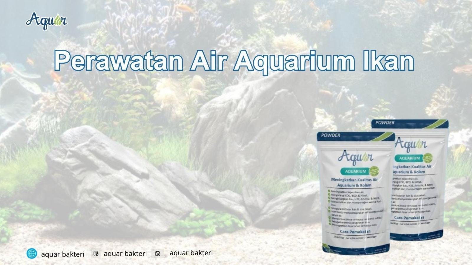 Perawatan Air Aquarium Ikan