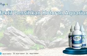 Efektif Bersihkan Kotoran Aquarium