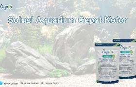 Solusi Aquarium Cepat Kotor