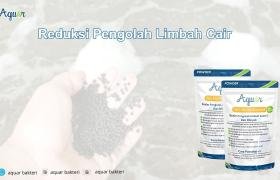 Reduksi Pengolah Limbah Cair