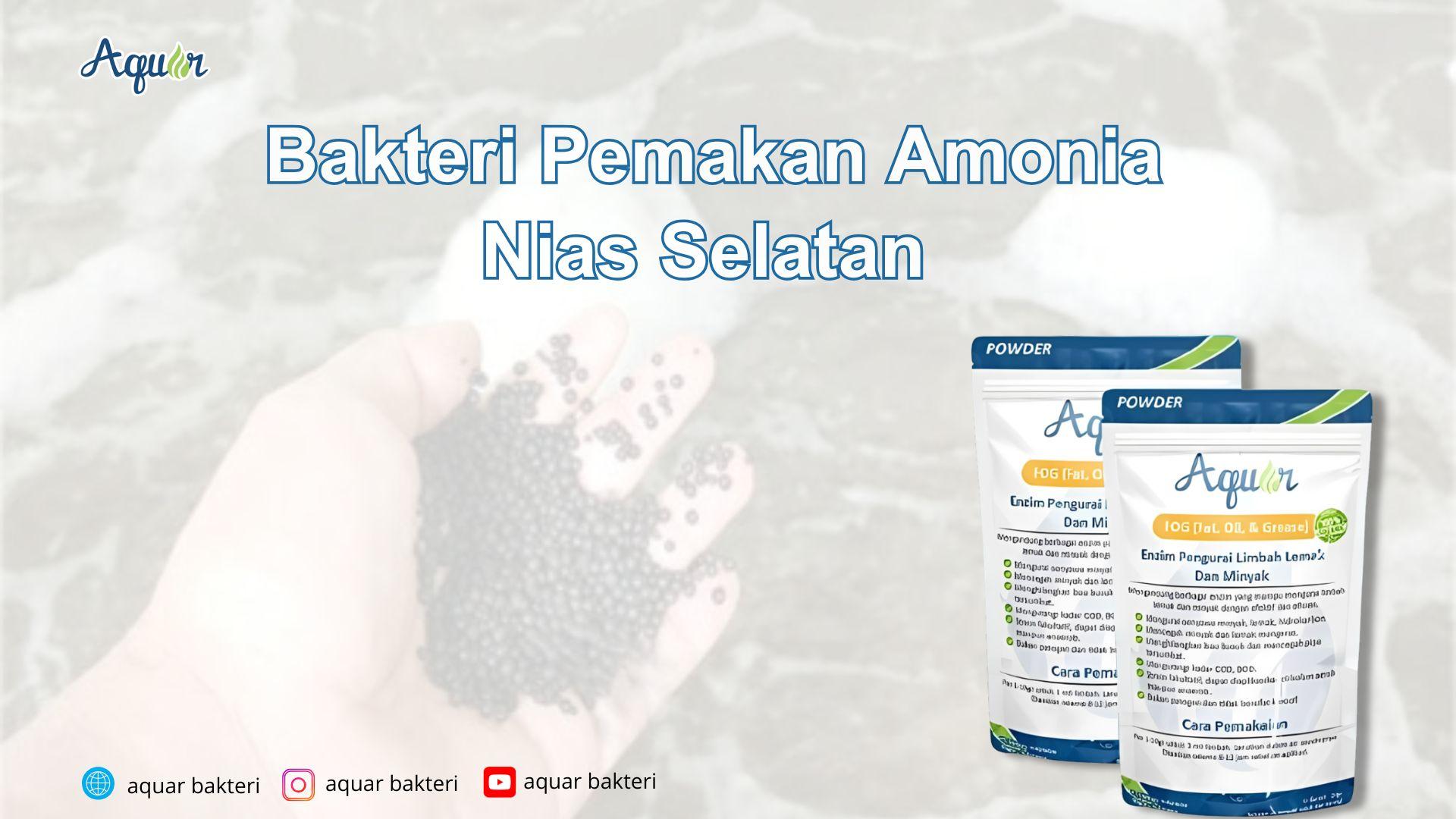 Bakteri Pemakan Amonia Nias Selatan