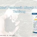 Bakteri Pembersih Minyak Aceh Tamiang