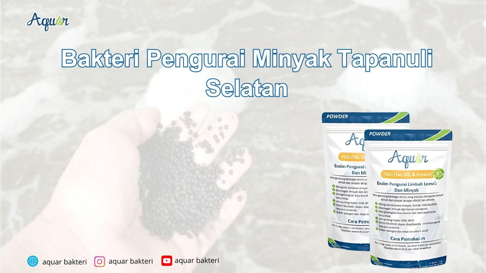 Bakteri Pengurai Minyak Tapanuli Selatan