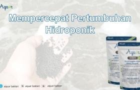 Mempercepat Pertumbuhan Hidroponik