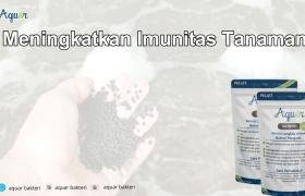 Meningkatkan Imunitas Tanaman