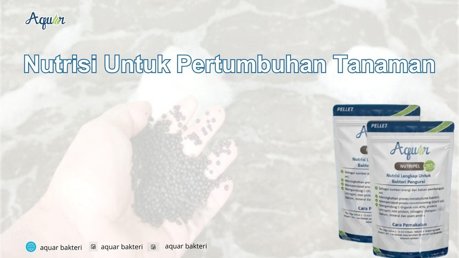 Nutrisi Untuk Pertumbuhan Tanaman