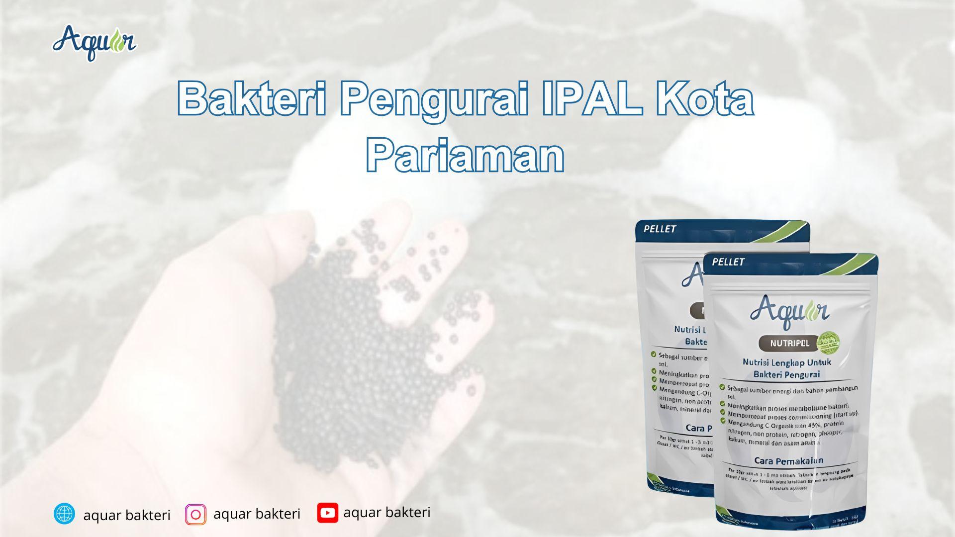 Bakteri Pengurai IPAL Kota Pariaman