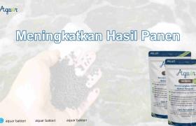 Meningkatkan Hasil Panen