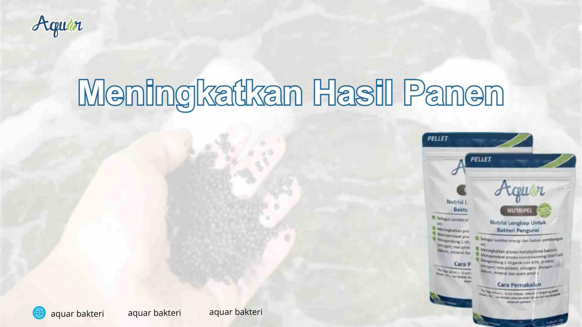 Meningkatkan Hasil Panen