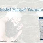 Nutrisi Bakteri Tanaman