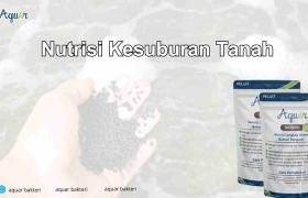 Nutrisi Kesuburan Tanah