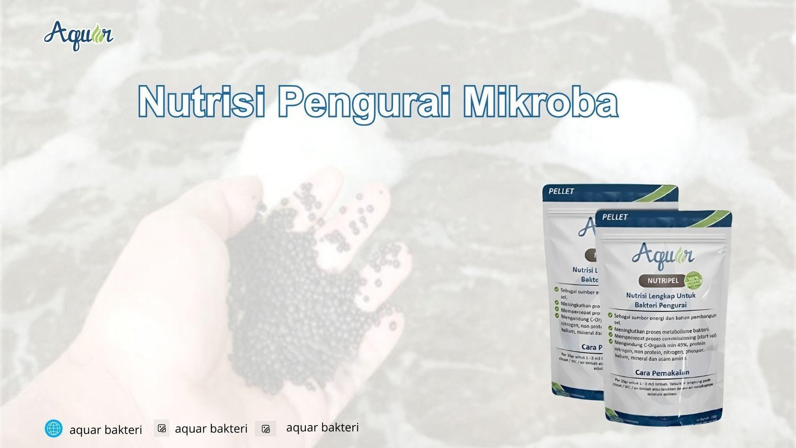 Nutrisi Pengurai Mikroba