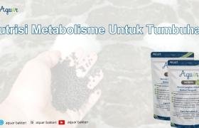 Nutrisi Metabolisme Untuk Tumbuhan