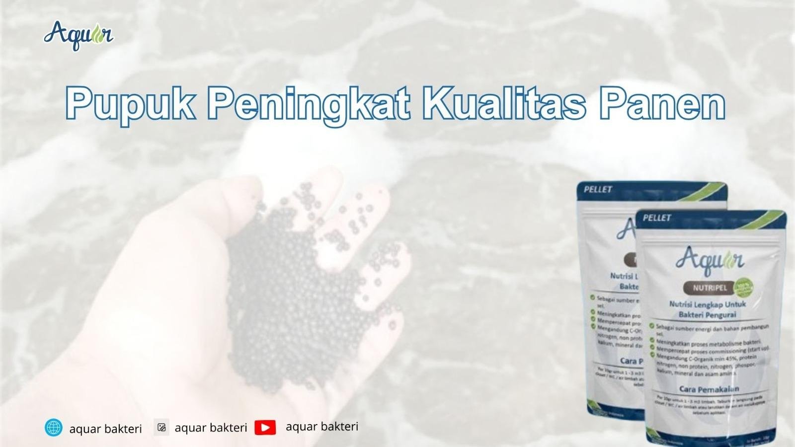 Pupuk Peningkat Kualitas Panen