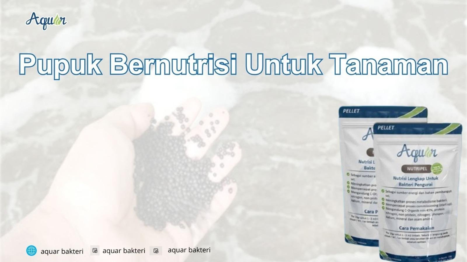 Pupuk Bernutrisi Untuk Tanaman