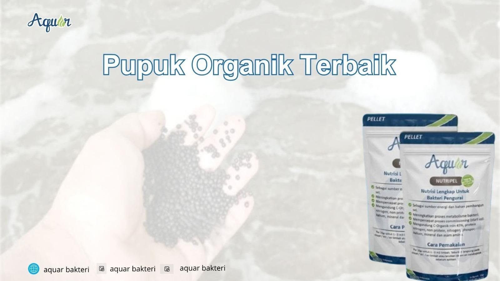 Pupuk Organik Terbaik