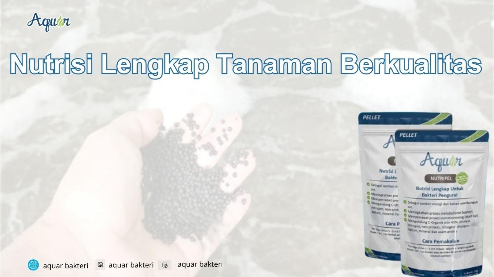 Nutrisi Lengkap Tanaman Berkualitas