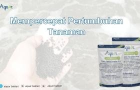 Mempercepat Pertumbuhan Tanaman