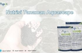 Nutrisi Tanaman Aquascape