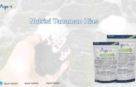 Nutrisi Tanaman Hias