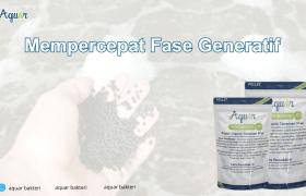 Mempercepat Fase Generatif
