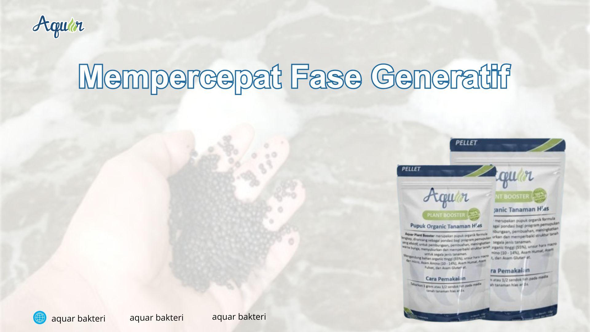 Mempercepat Fase Generatif