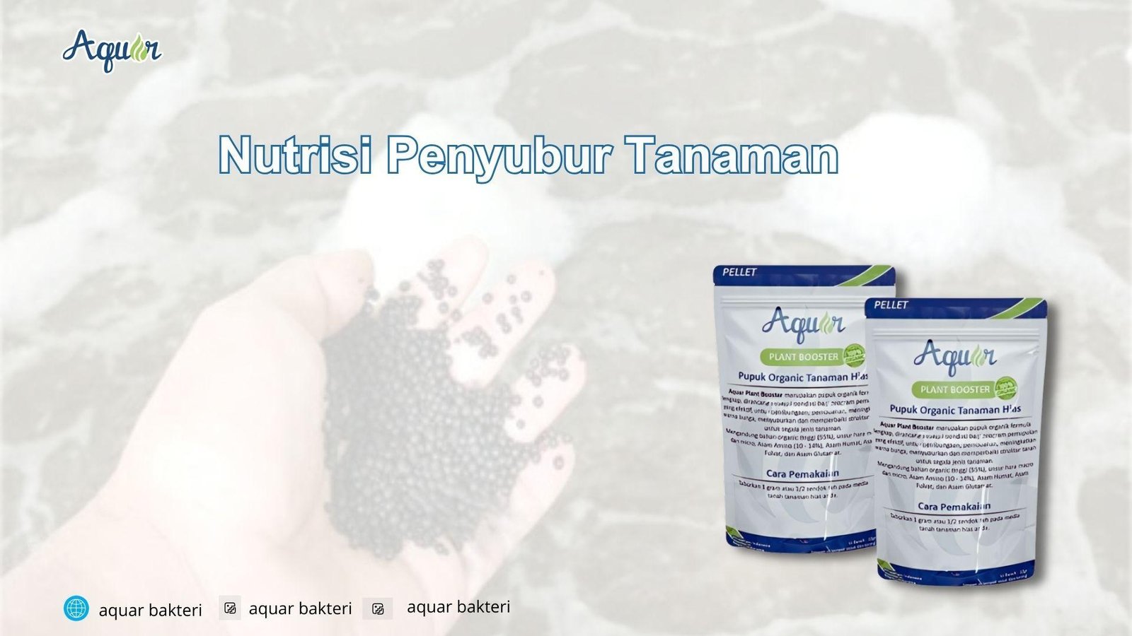 Nutrisi Penyubur Tanaman