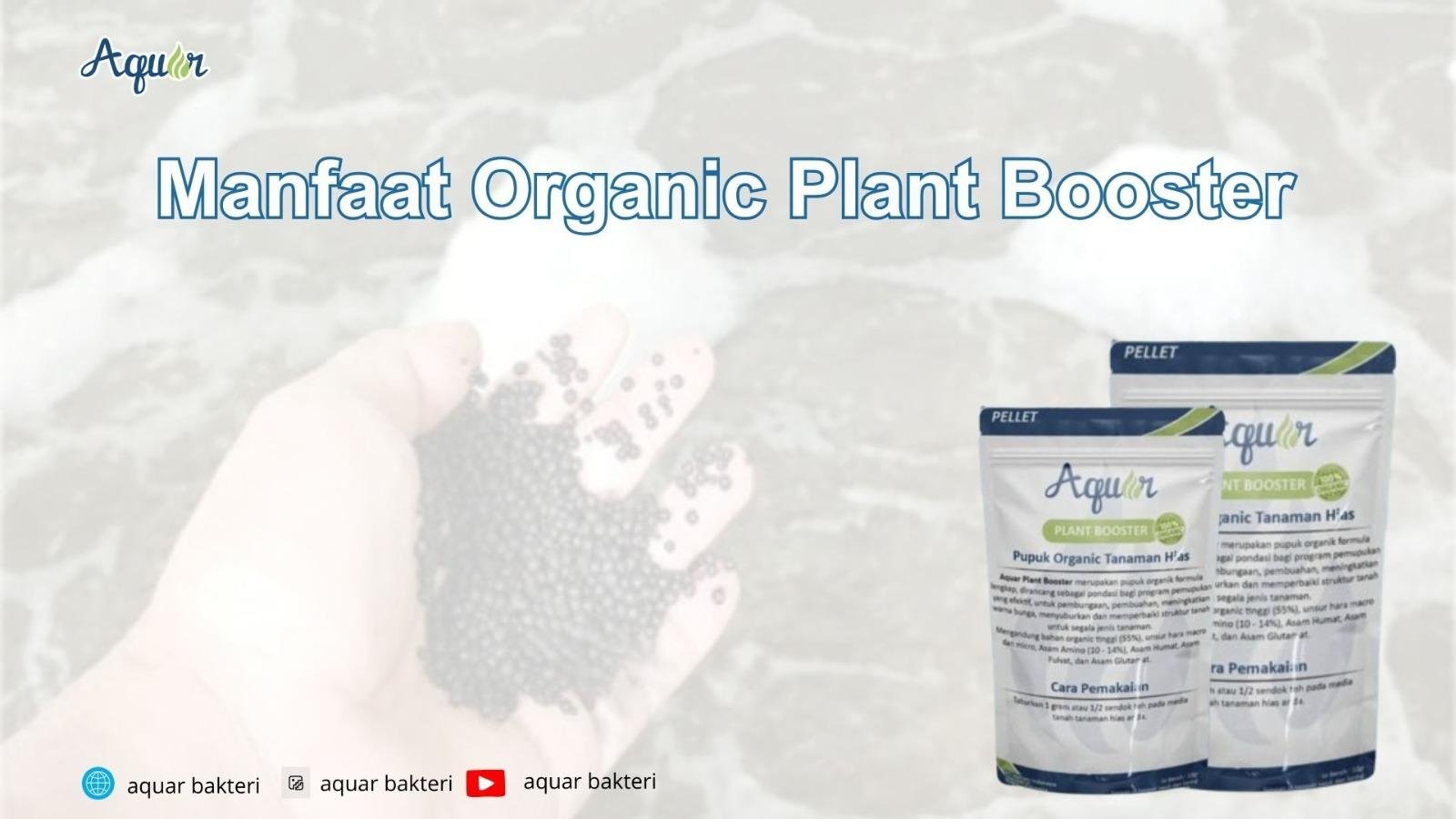 Manfaat Organic Plant Booster