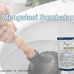 Cara Mengatasi Sumbatan WC