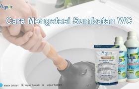 Cara Mengatasi Sumbatan WC