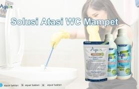 Solusi Atasi WC Mampet