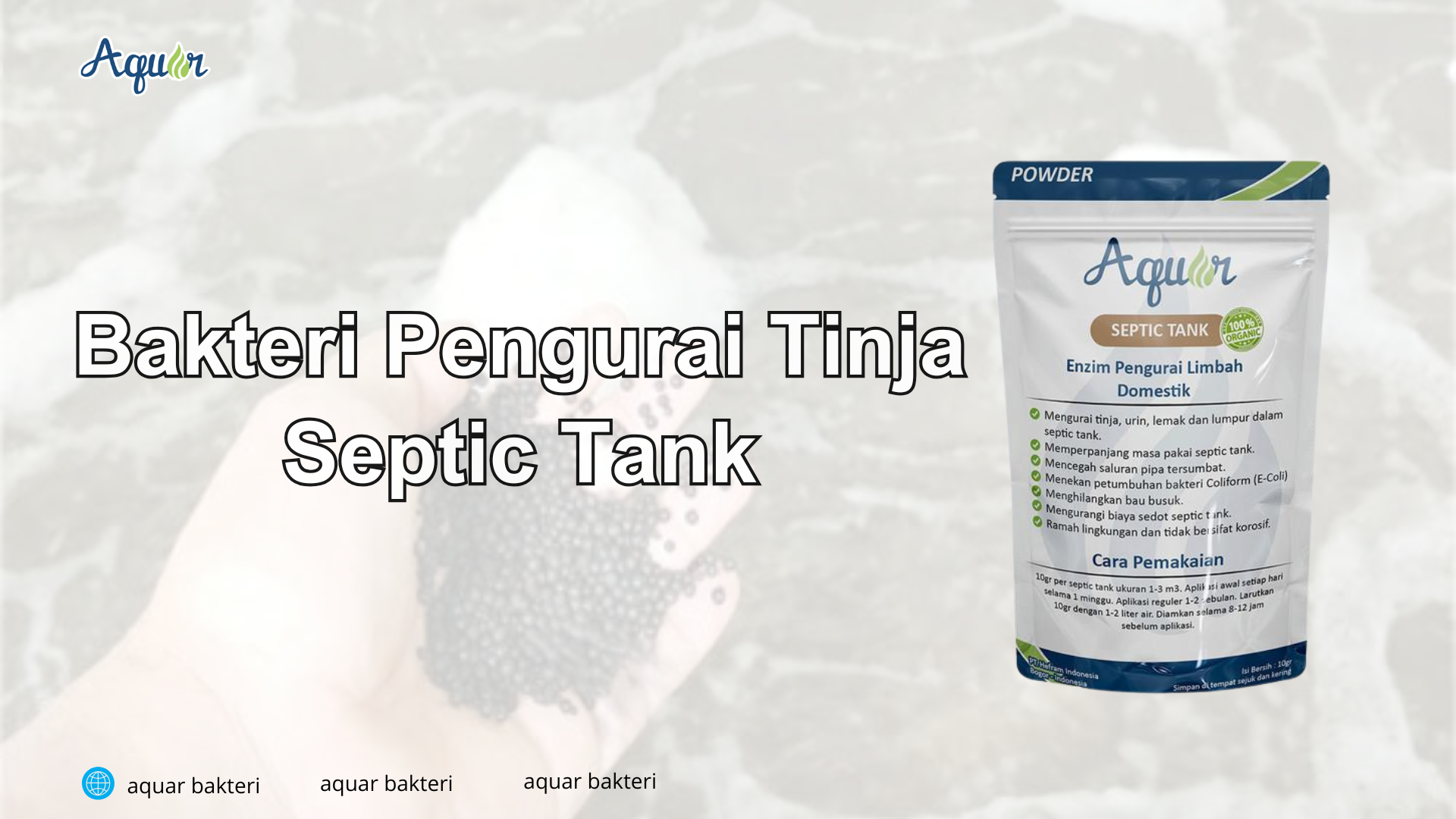 Bakteri Pengurai Tinja Septic Tank