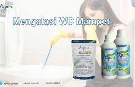 Mengatasi WC Mampet Muara Ening