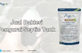 Jual Bakteri Pengurai Septic Tank