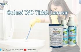 Solusi WC Tidak Lancar