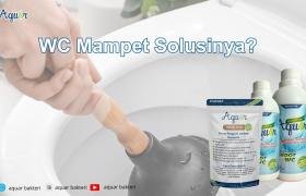 WC Mampet solusinya