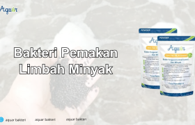 Bakteri Pemakan Limbah Minyak