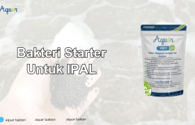 Bakteri Starter Untuk IPAL