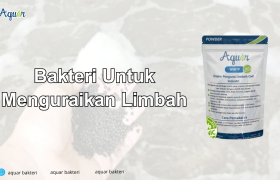 Bakteri Untuk Menguraikan Limbah