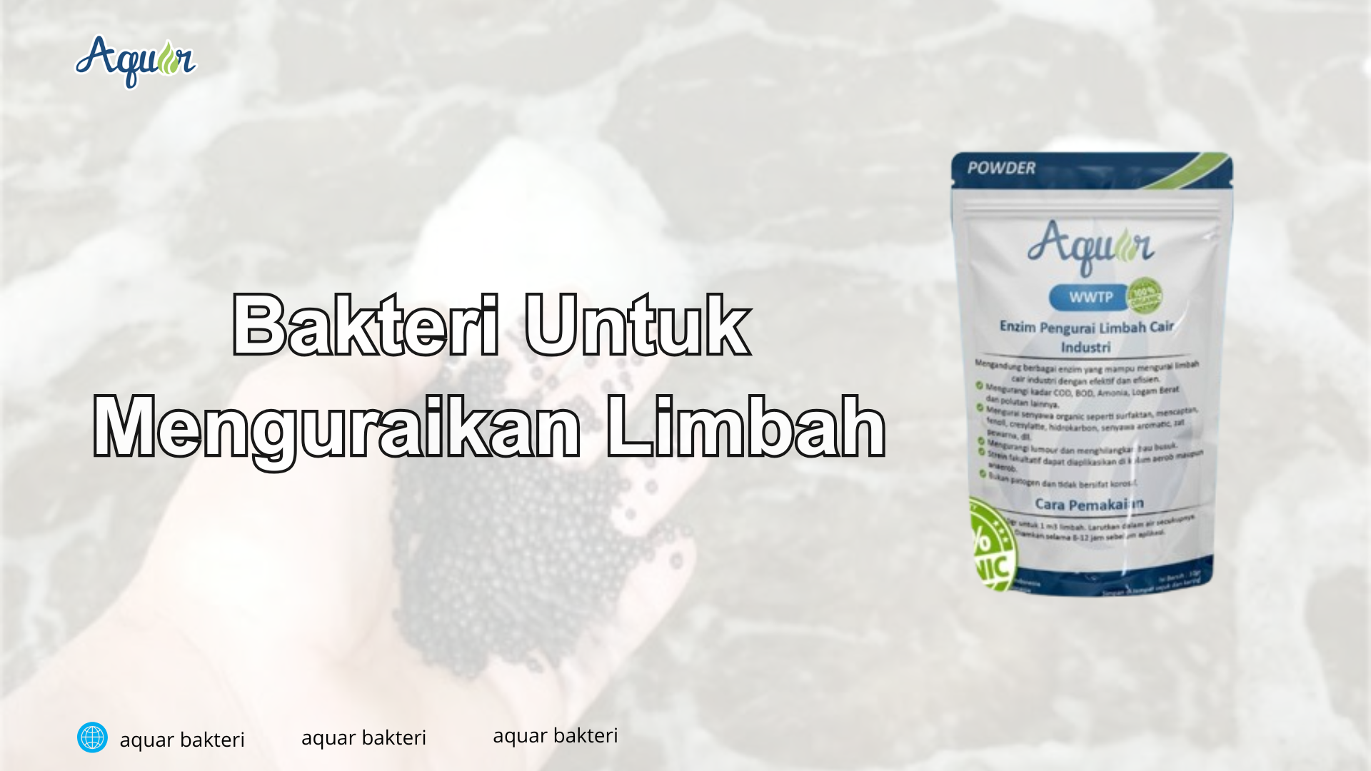 Bakteri Untuk Menguraikan Limbah